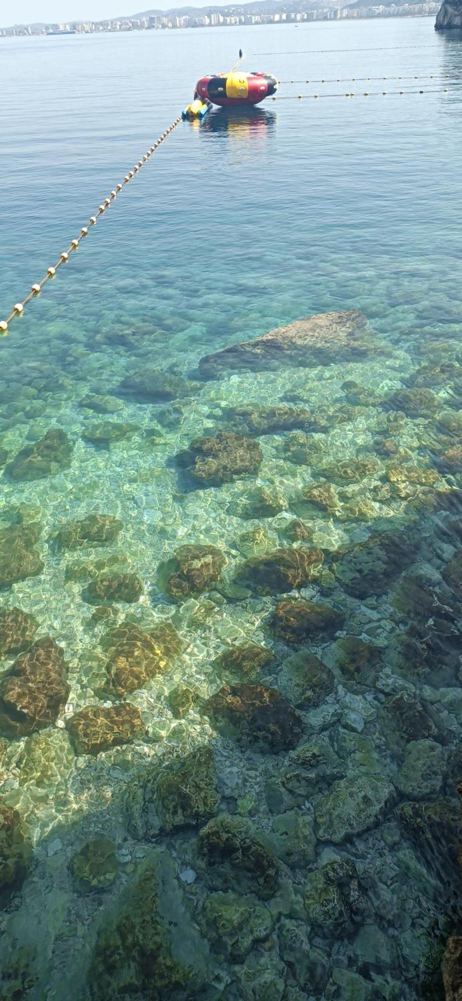 Artemis Beach House Vlore Bagian luar foto